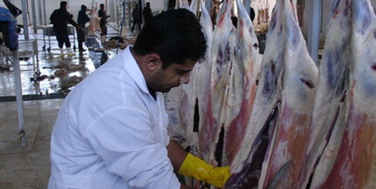 خشکسالی تولید گوشت در لرستان را ۲۵ درصد کاهش می‌دهد