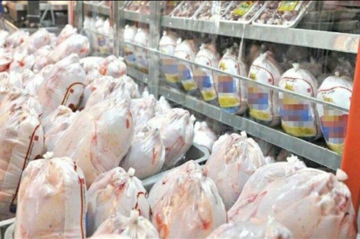 فروش مرغ در خرم‌آباد بر مبنای سامانه هوشمند اجباری شد/سایر شهرستان‌ها هم اجباری می‌شود
