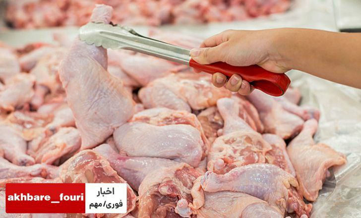کاهش نسبی قیمت مرغ