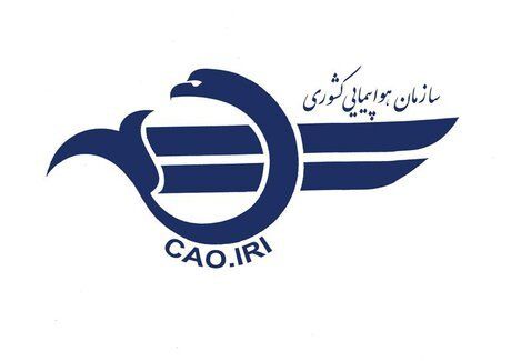 رئیس سازمان هواپیمایی کشوری منصوب شد
