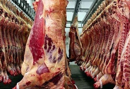 عرضه گوشت گرم تنظیم بازاری در میادین از شنبه