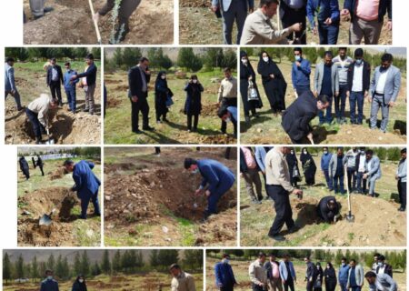 شرکت جامعه ورزش و جوانان استان به مراسم روز درختکاری در نهالستان بام لرستان به یاد جانفشانی و ایثار ۲۳۶ شهید ورزشکار