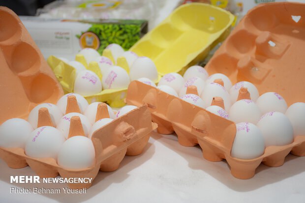 زیان ۲۳ هزار تومانی مرغداران در هر کیلوگرم تولید تخم‌مرغ