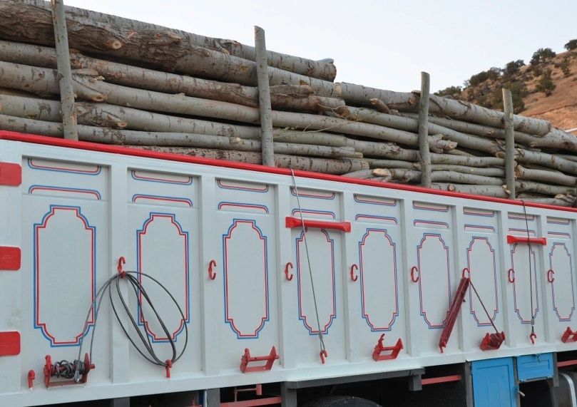 توقیف کامیون حامل ۹ تن چوب قاچاق در سلسله