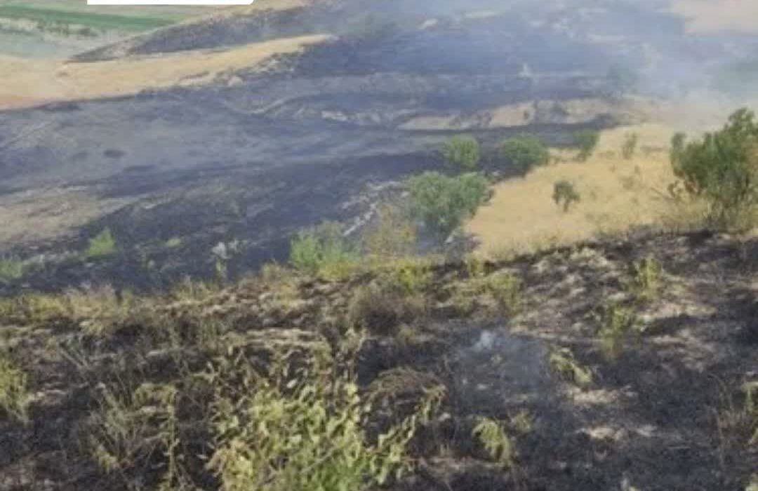 خسارت آتش سوزی به ۷۰ هکتار از منابع طبیعی در خرم‌آباد