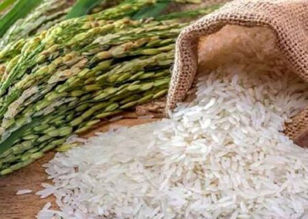 واردات برنج متوقف شده است