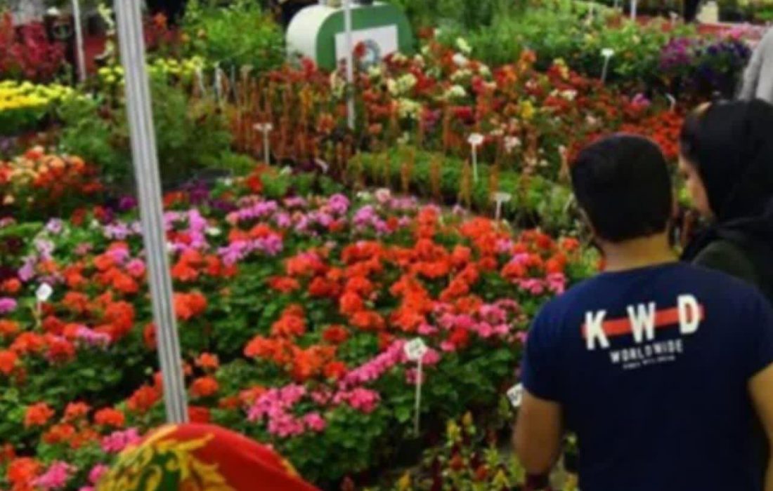 فرصت یک ماهه شهرداری خرم‌آباد به غرفه‌داران گل و گیاه برای جابجایی