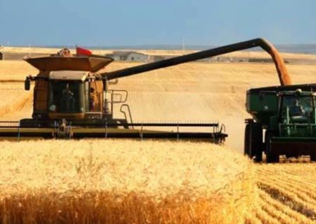 پیش‌بینی تولید ۶۰۰ هزار تن گندم در لرستان