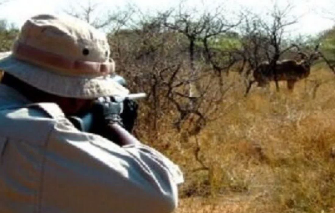 دستگیری ۳ گروه متخلف زیست محیطی در لرستان