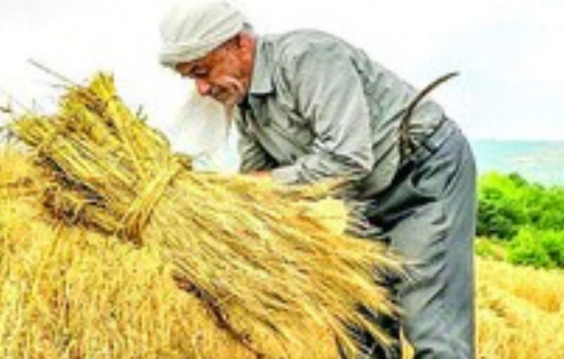 سرشماری کشاورزی ۱۴۷ هزار بهرهبردار لرستان