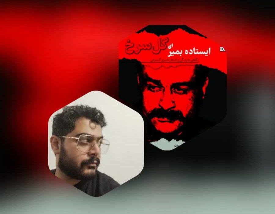 کتاب ” ایستاده بمیر ای گل سرخ” اثر مهدی بیرانوند در موزه عبرت رونمایی شد