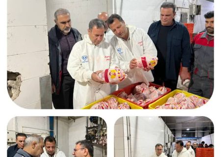 بازدید مهندس نامدار صیادی، رئیس سازمان جهاد کشاورزی استان به همراه دکتر مصطفی زبردست، مدیرکل دفتر دامپزشکی لرستان از کشتارگاه طیور پر طلایی شهرستان خرم آباد