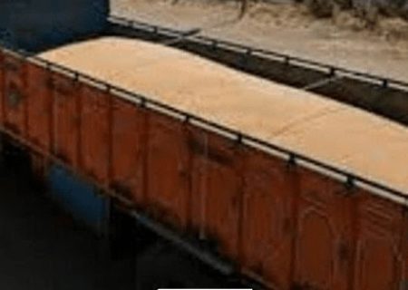 ۱۸ میلیارد تومان جریمه برای قاچاقچی گندم در خرم‌آباد