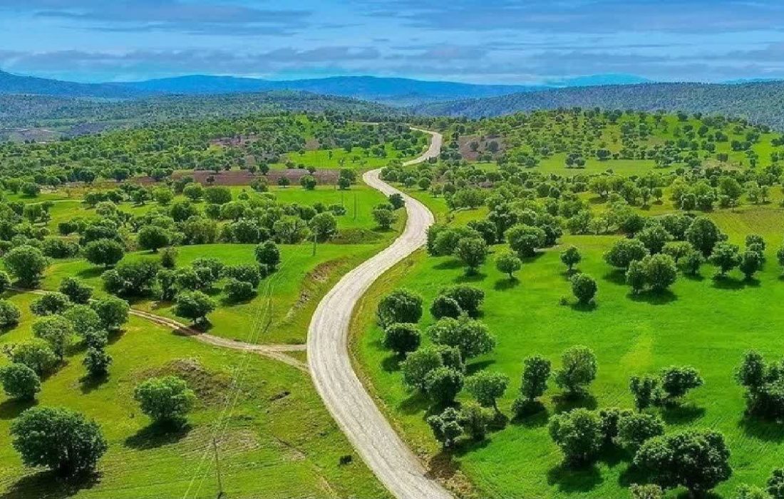 جنگلهای لرستان بیدفاع ماندهاند؛ استانی با بیشترین جنگل زاگرس، اما کمترین توان حفاظتی