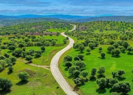 جنگل‌های لرستان بی‌دفاع مانده‌اند؛ استانی با بیشترین جنگل زاگرس، اما کمترین توان حفاظتی